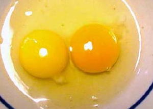 pale yolk vs. rich orange yolk