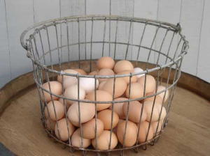 farm eggs do not need refrigeration
