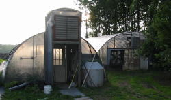 greenhouse growing